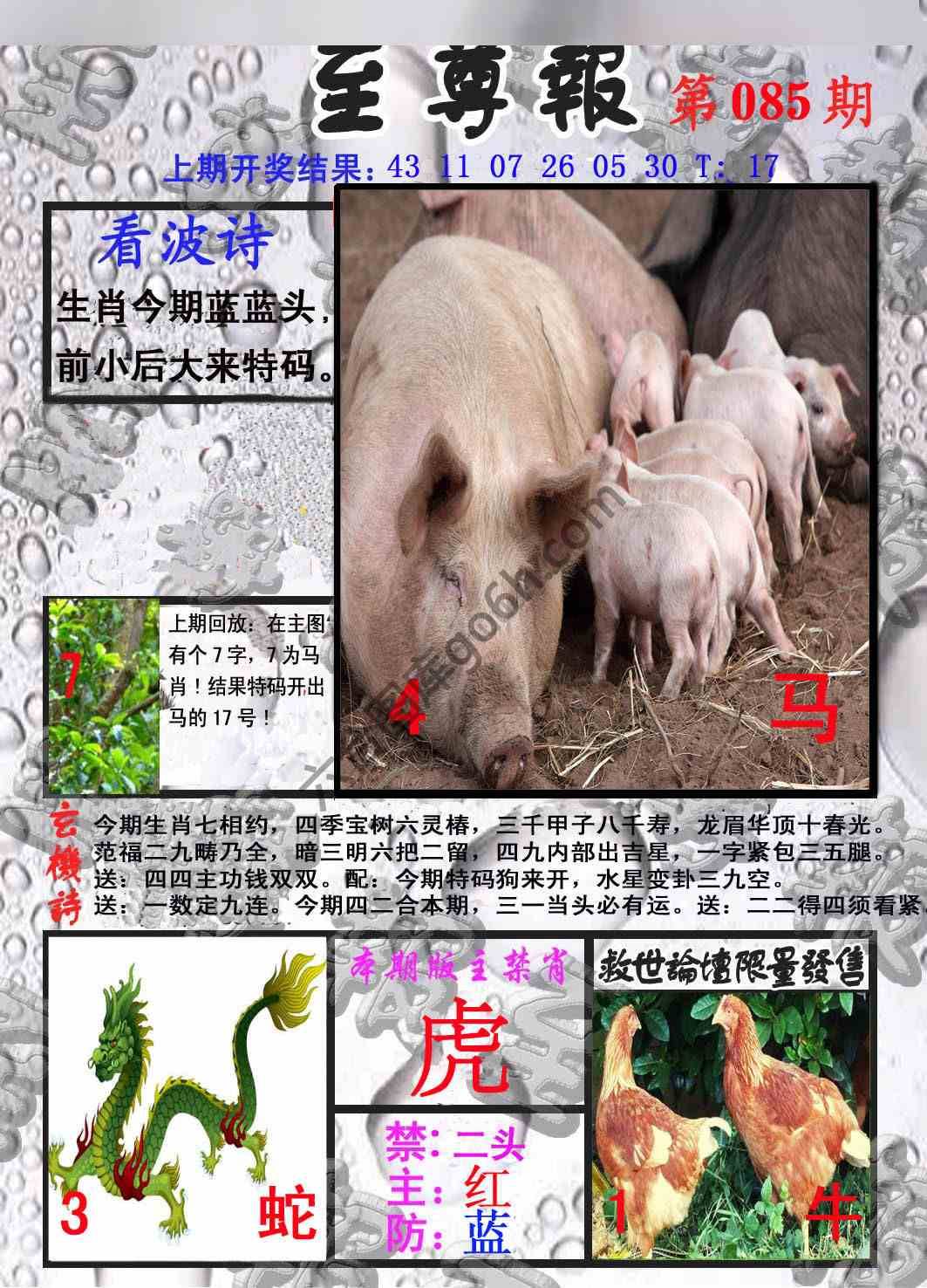 至尊报