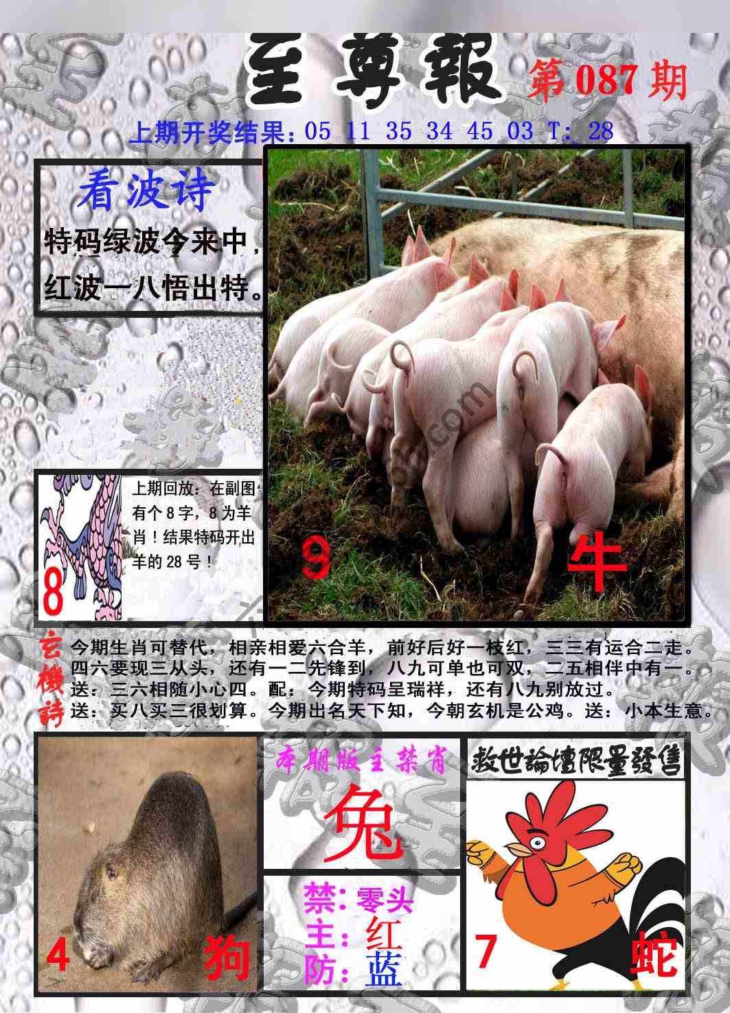 至尊报