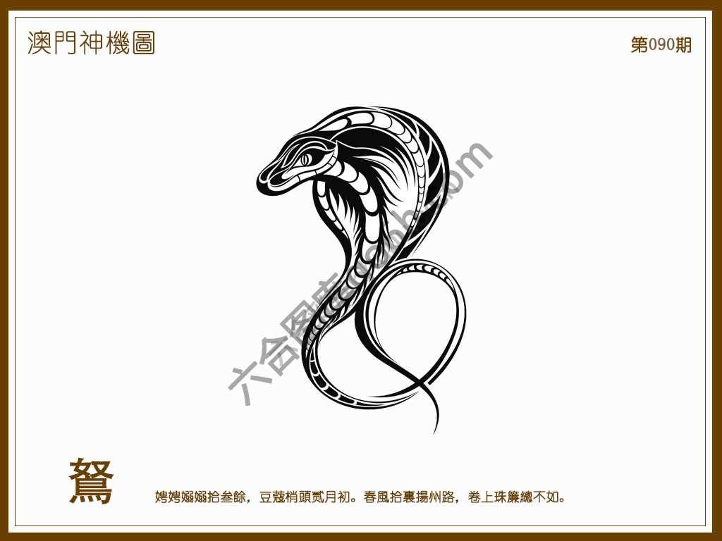 澳门神机图