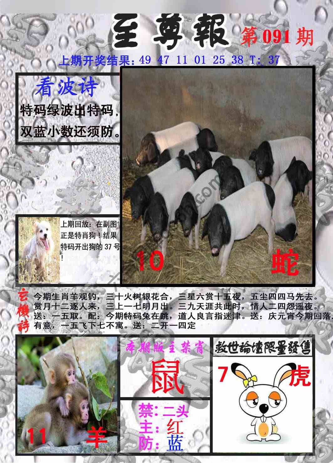 至尊报