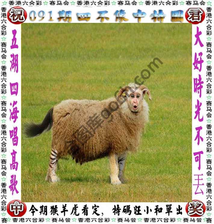 四不像中特图