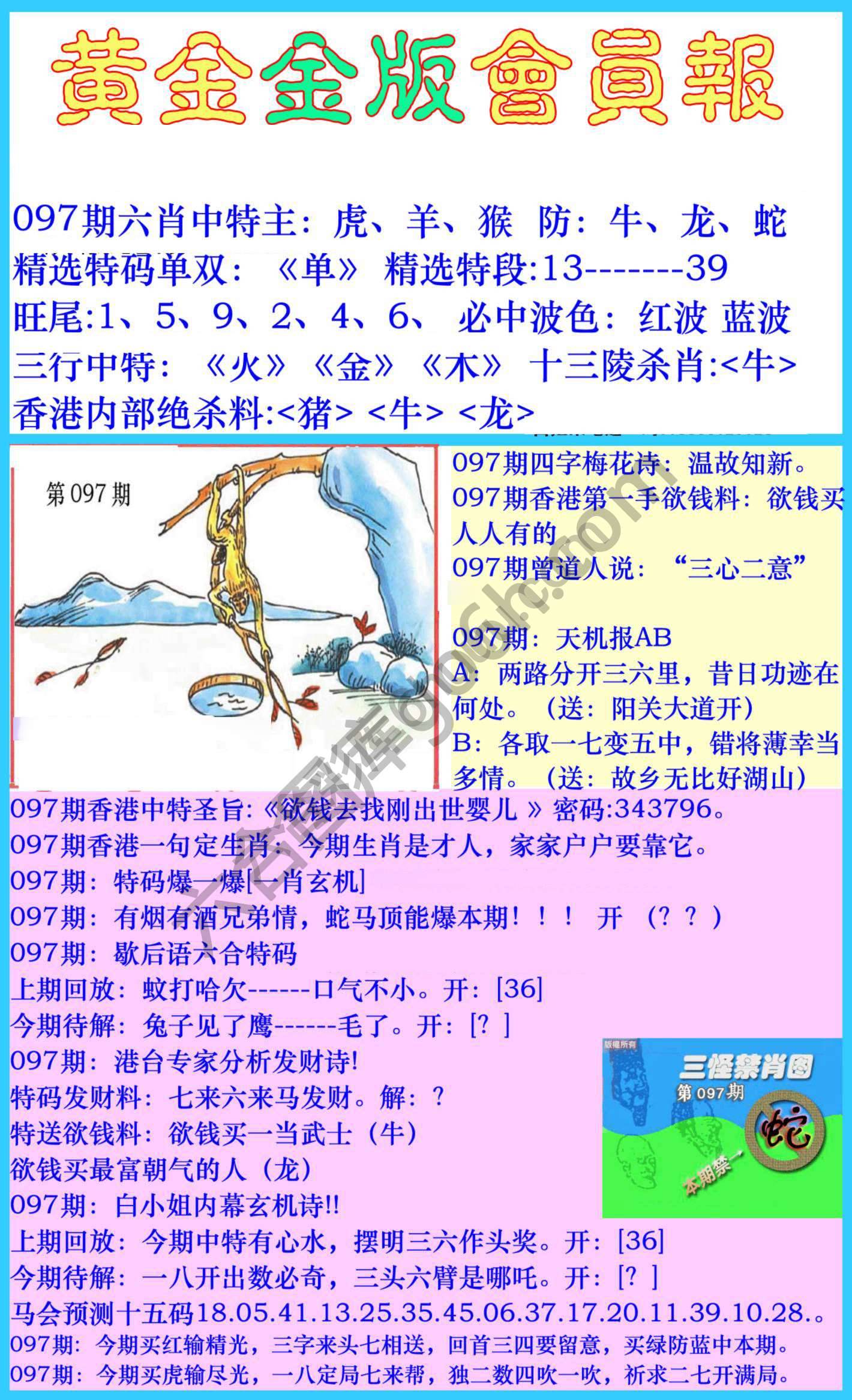 黄金金版会员报