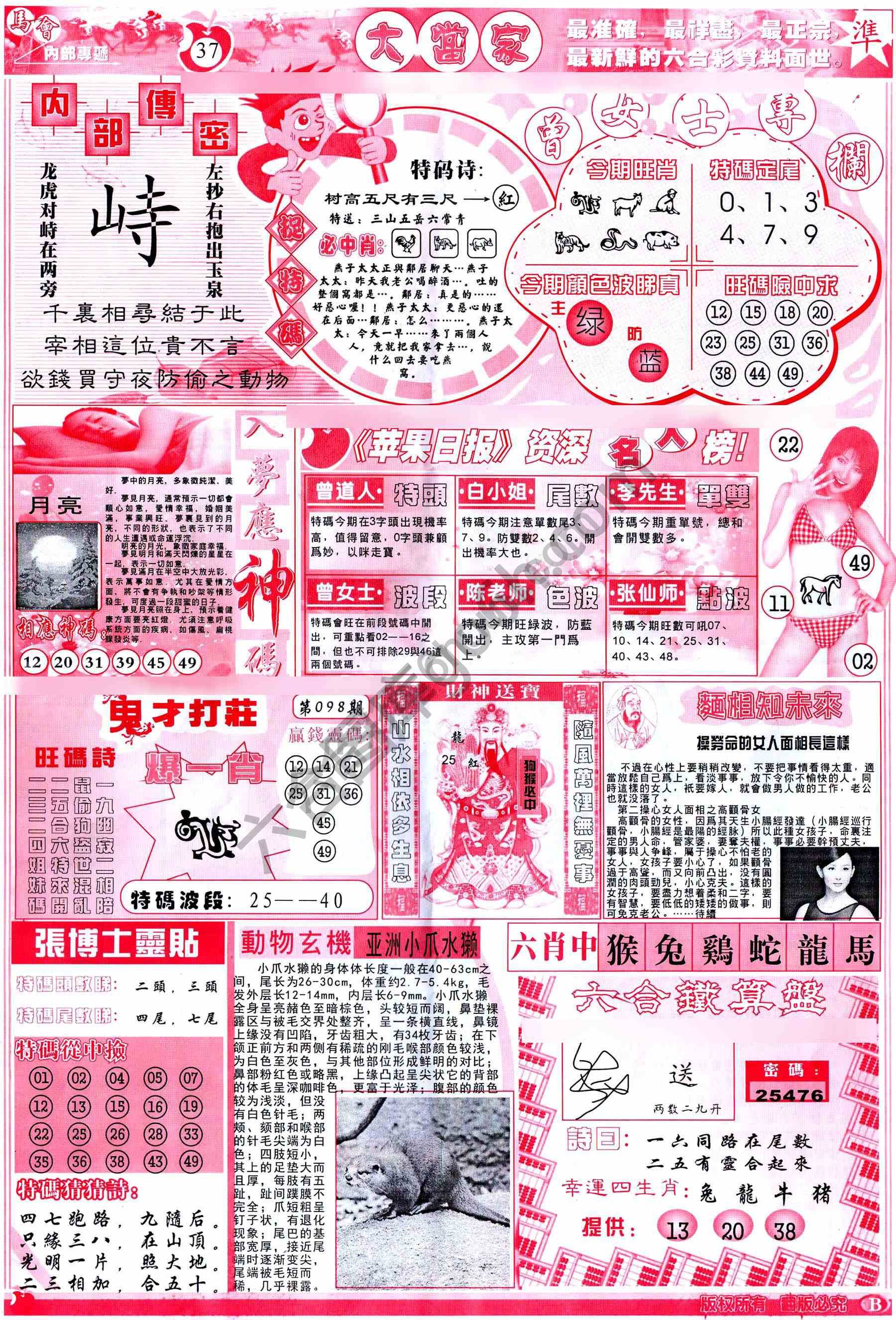 大当家