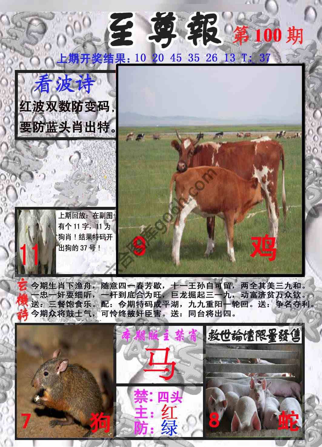 至尊报