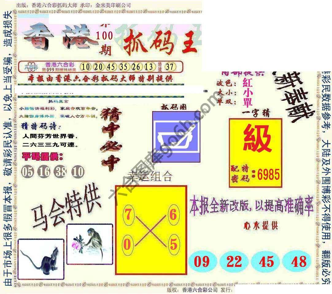 新抓码王