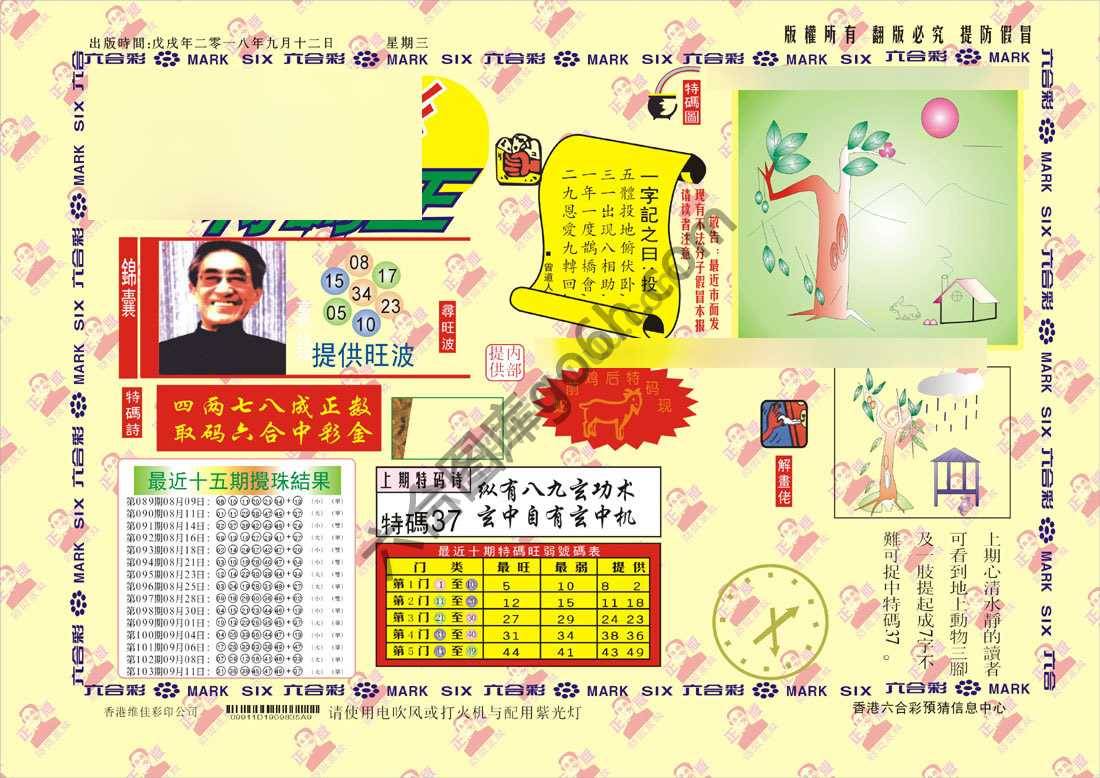 特码王