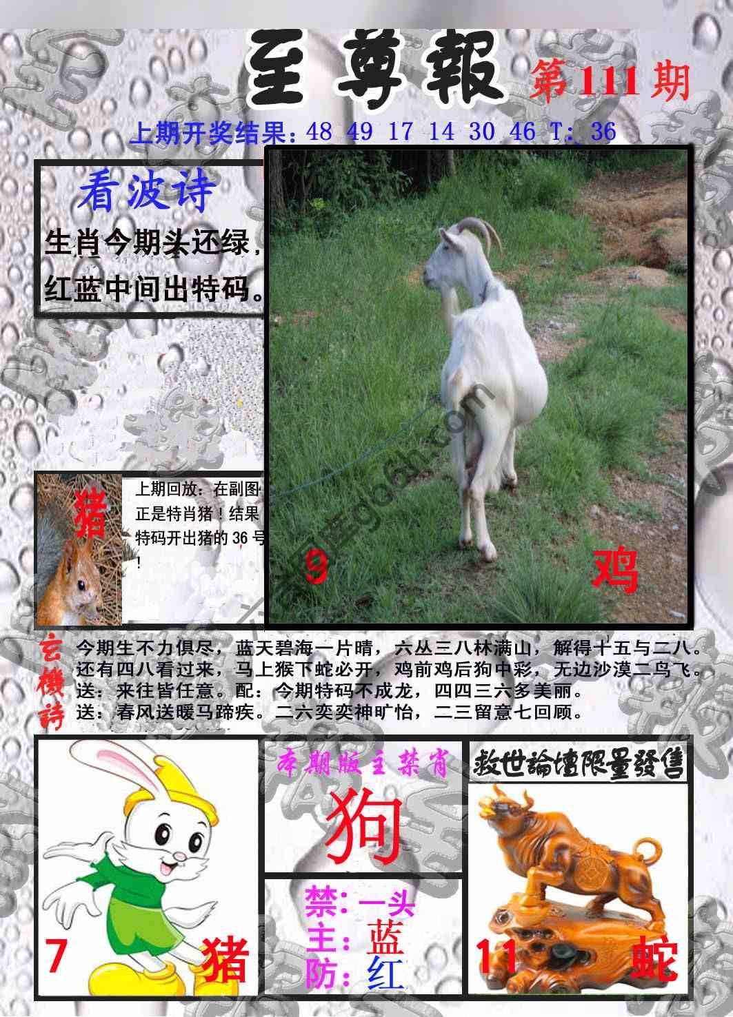 至尊报