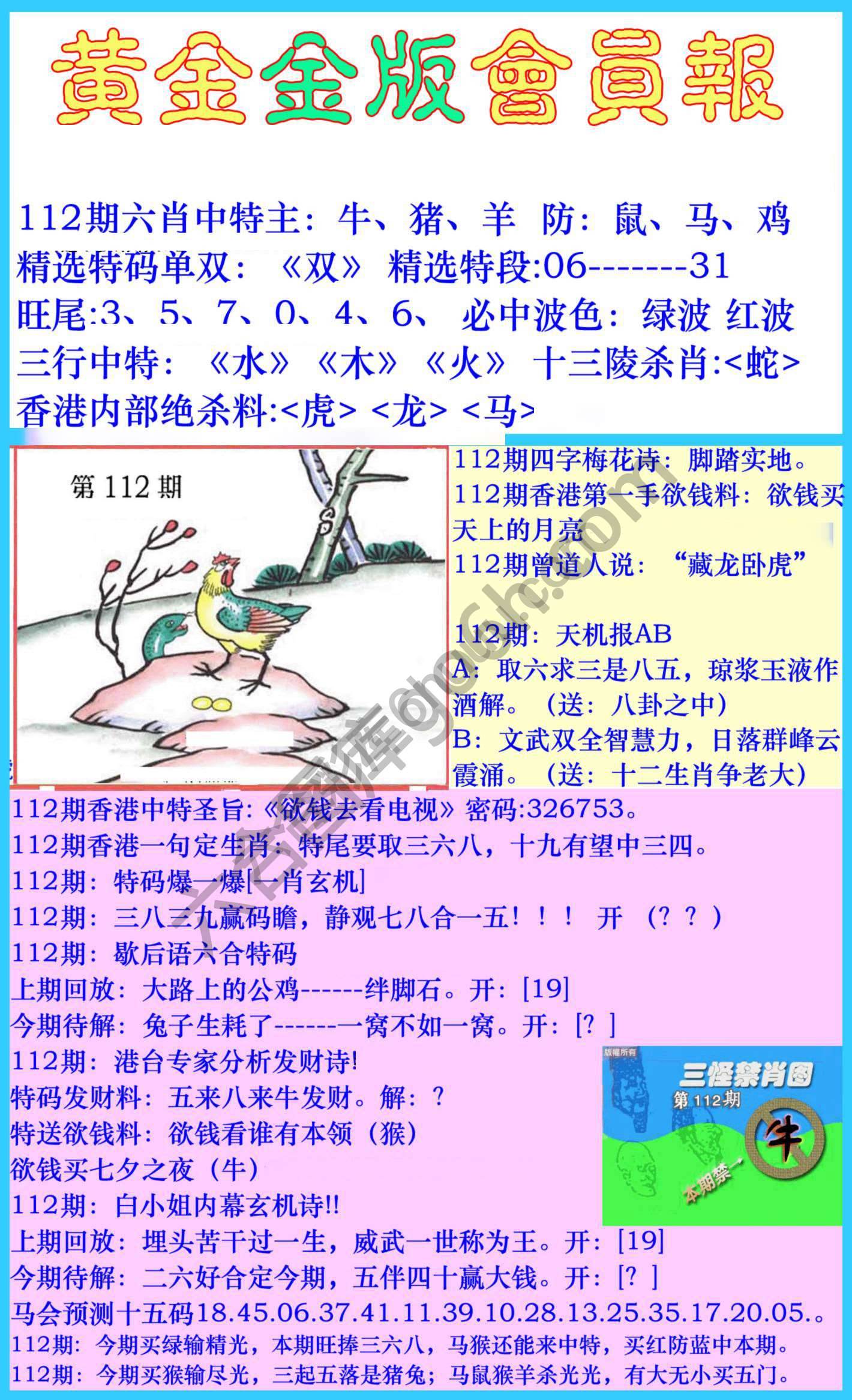 黄金金版会员报