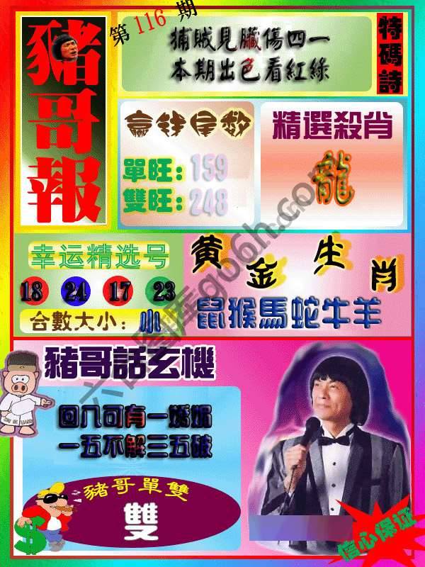 猪哥报