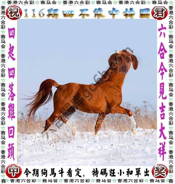 四不像中特图