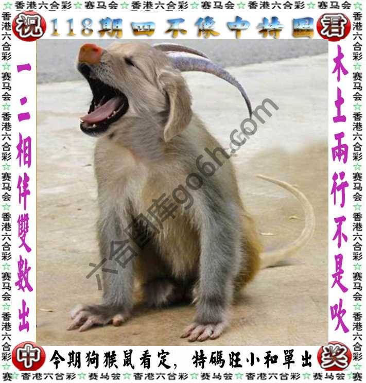 四不像中特图