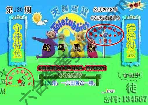 宝宝玄机报