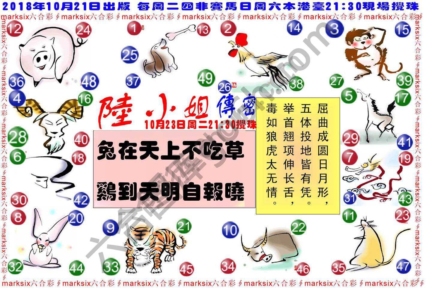 陆小姐传密