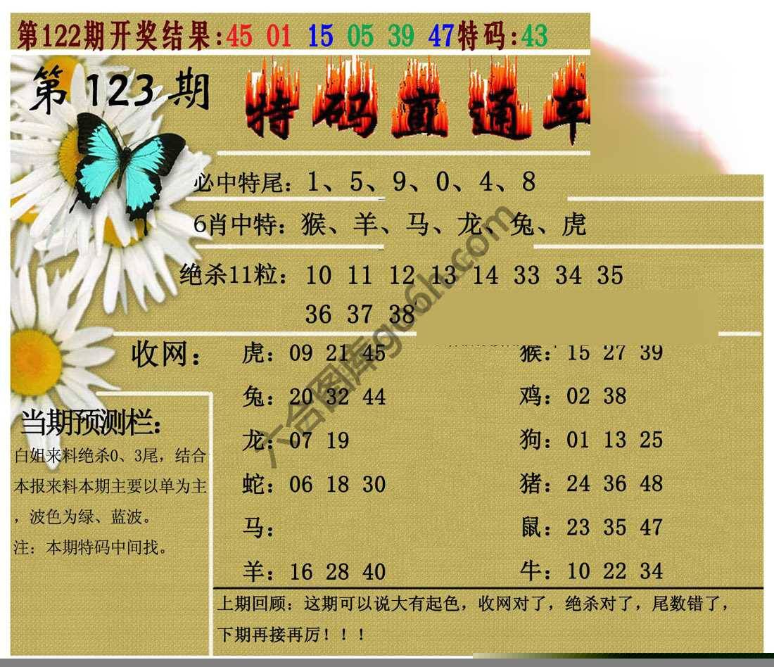 特码直通车