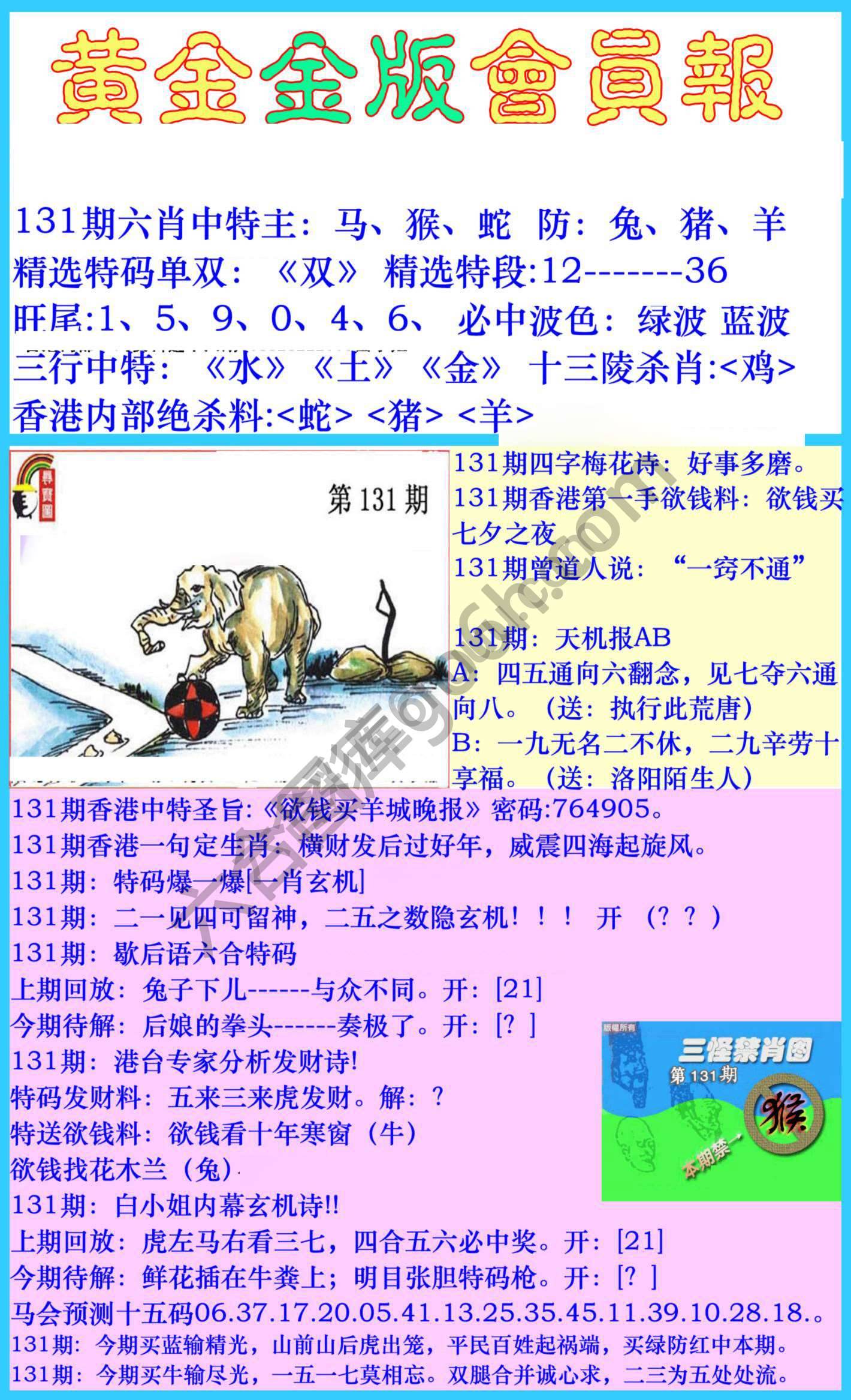 黄金金版会员报