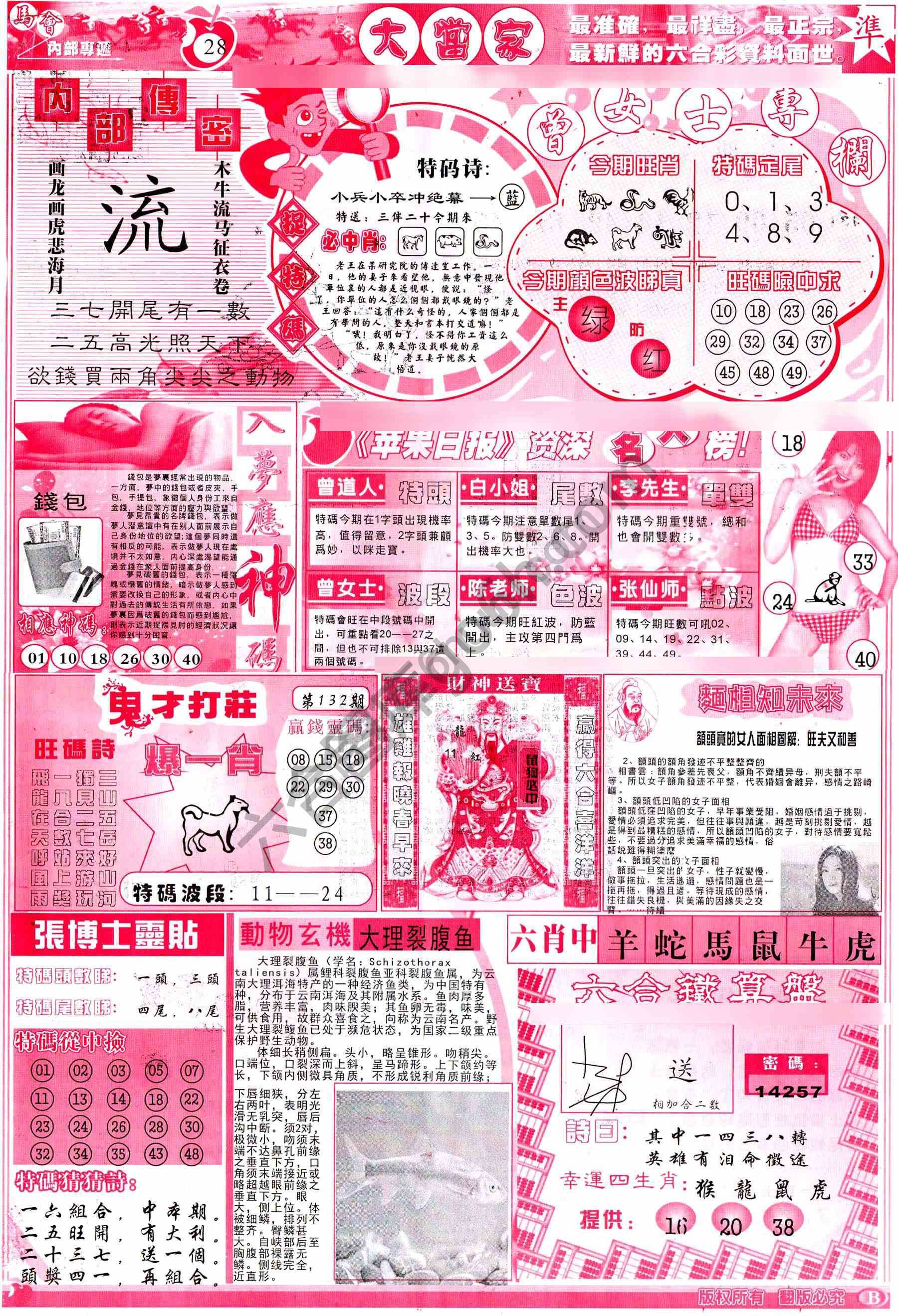 大当家