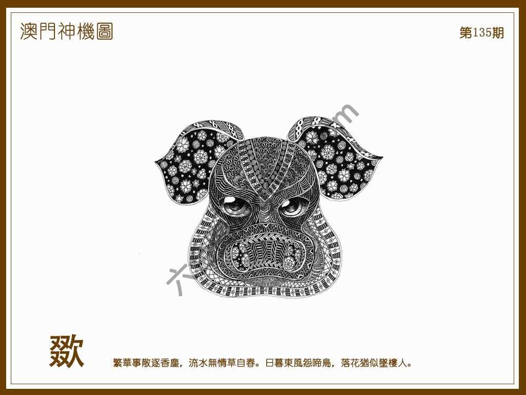 澳门神机图