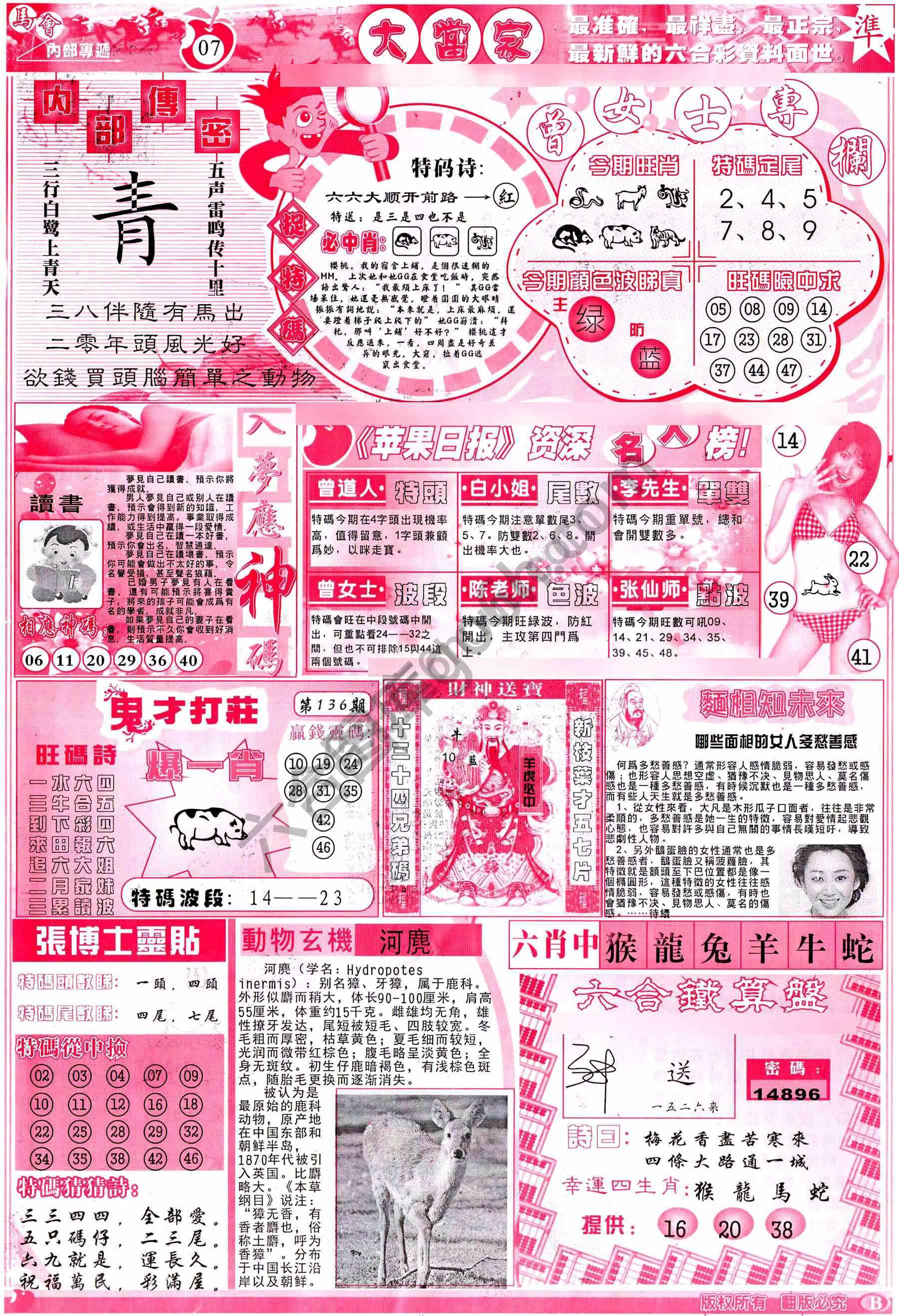 大当家