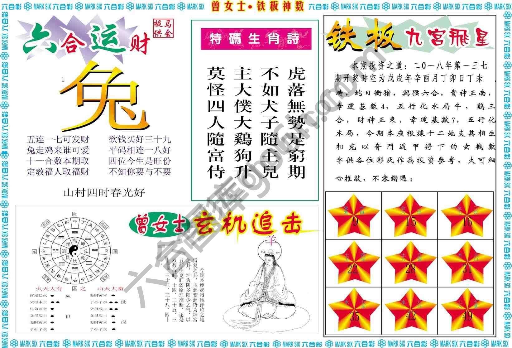 曾女士铁板神数