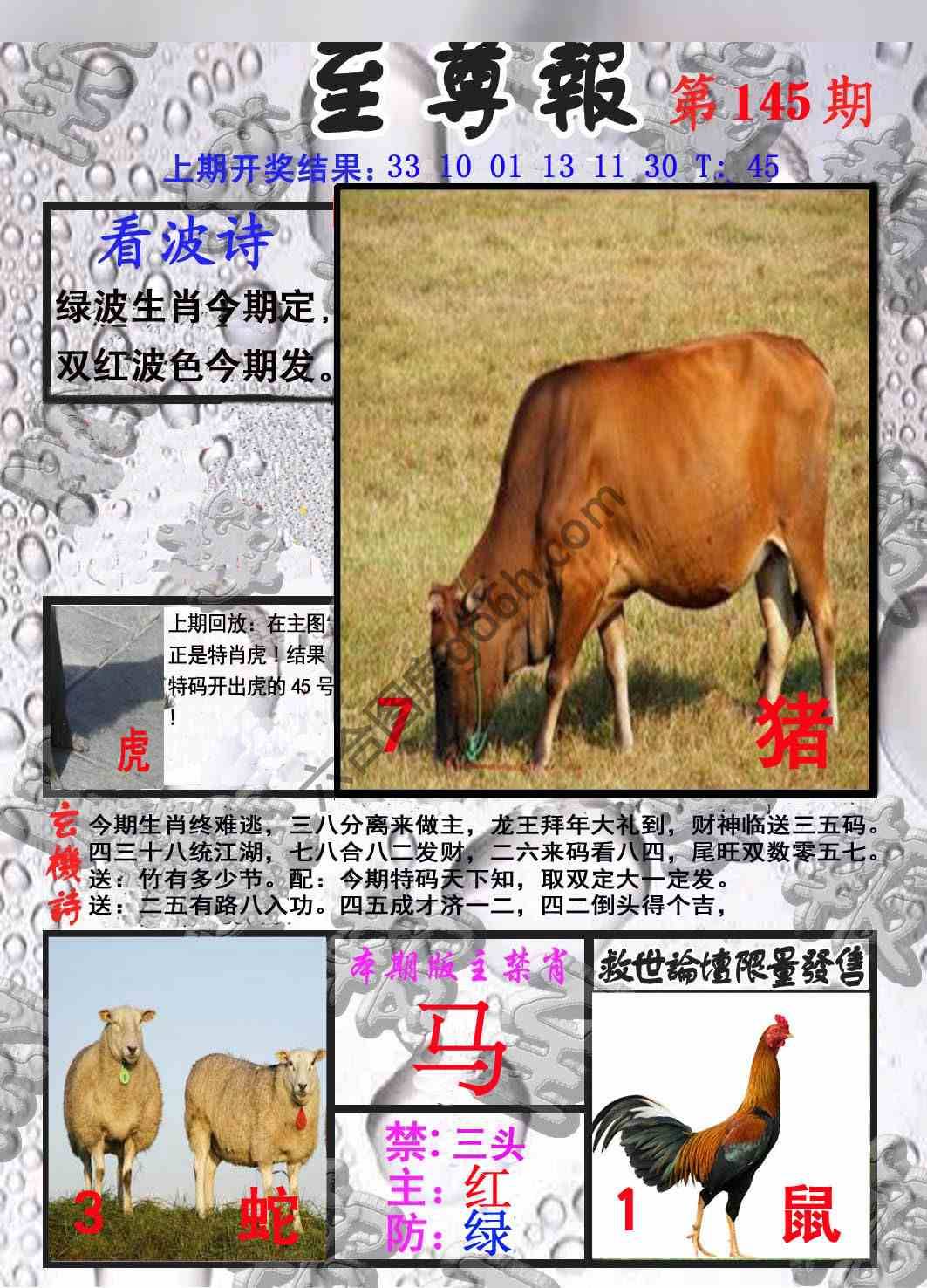 至尊报