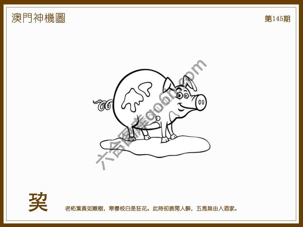 澳门神机图