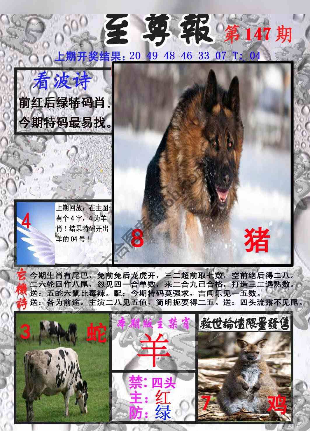 至尊报