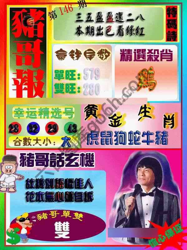 猪哥报
