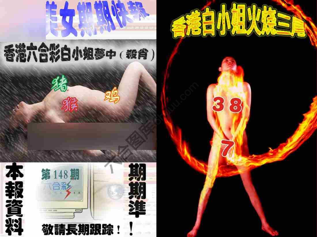 环球美女特码报