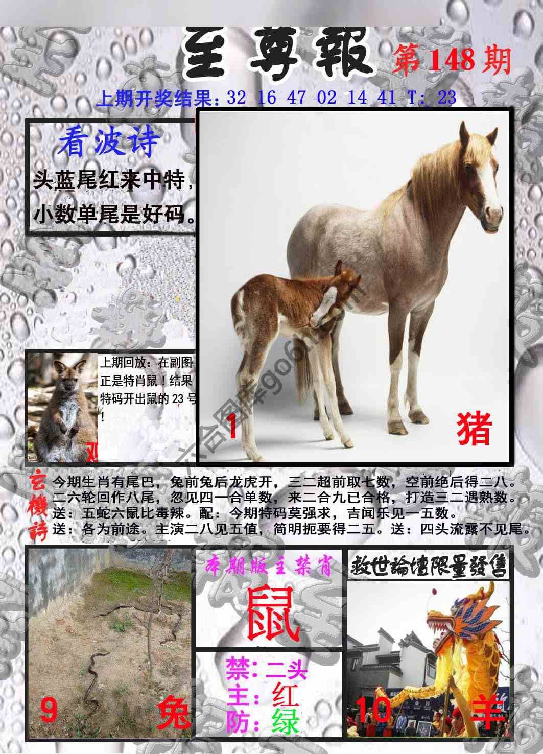 至尊报