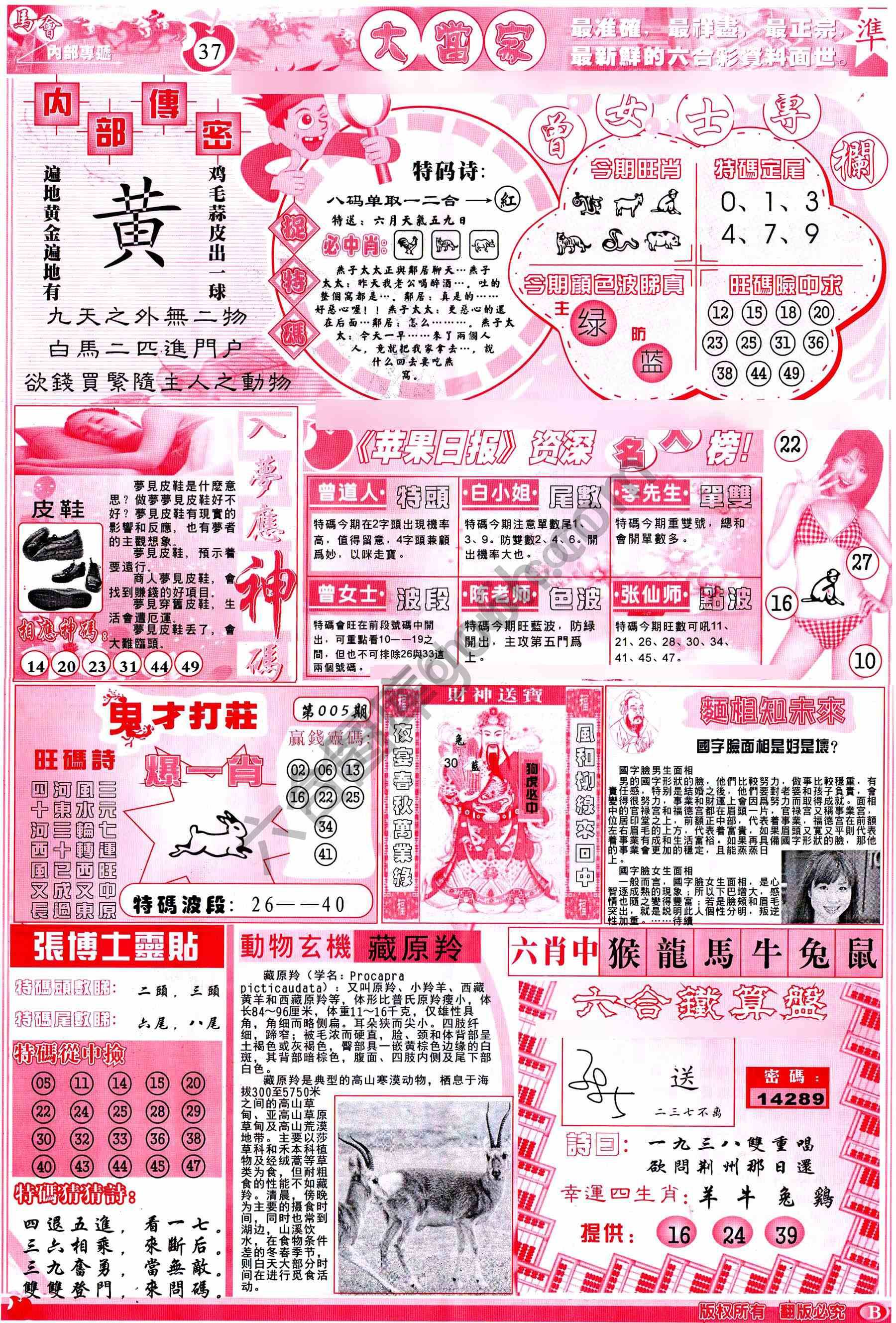 大当家