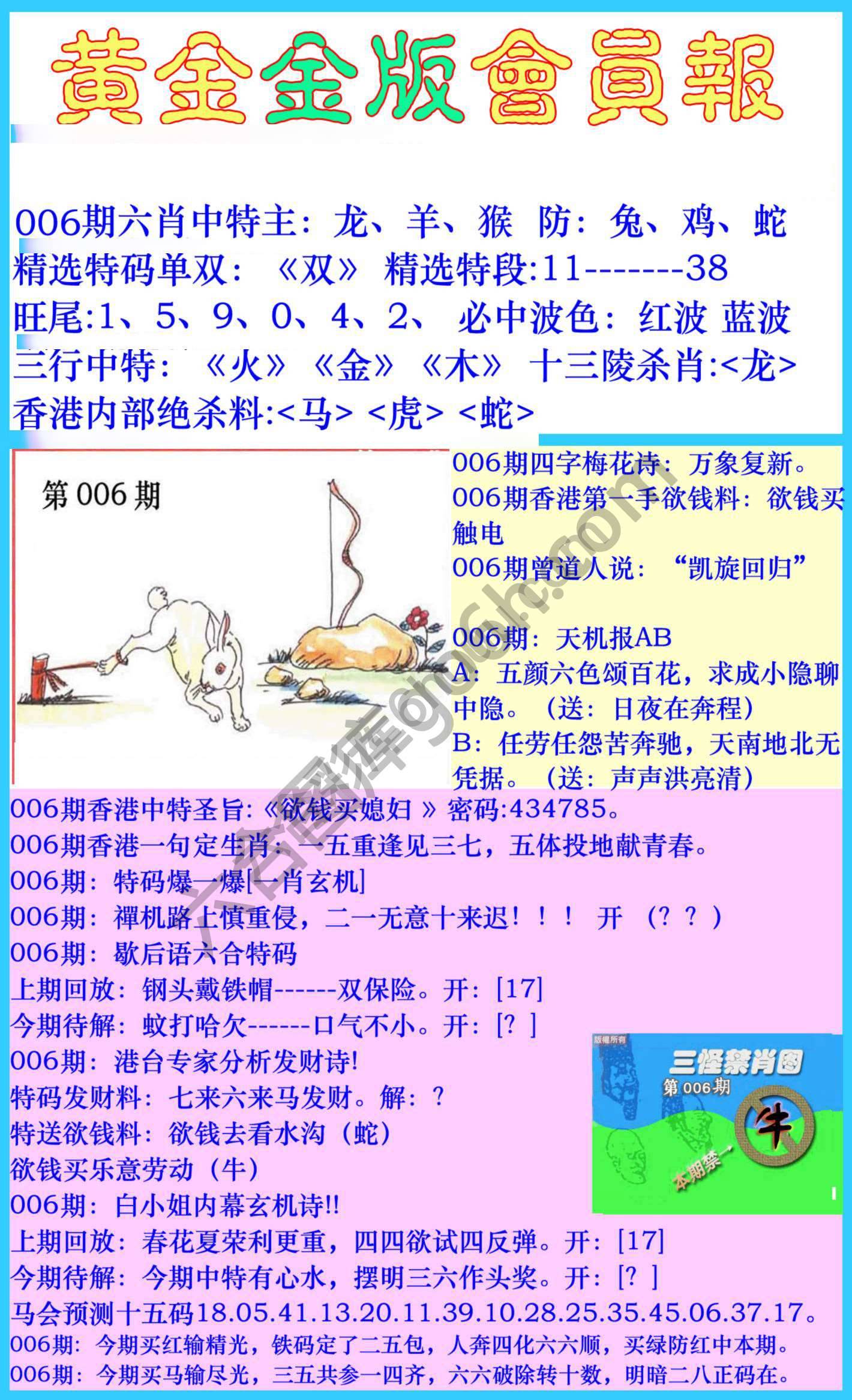 黄金金版会员报