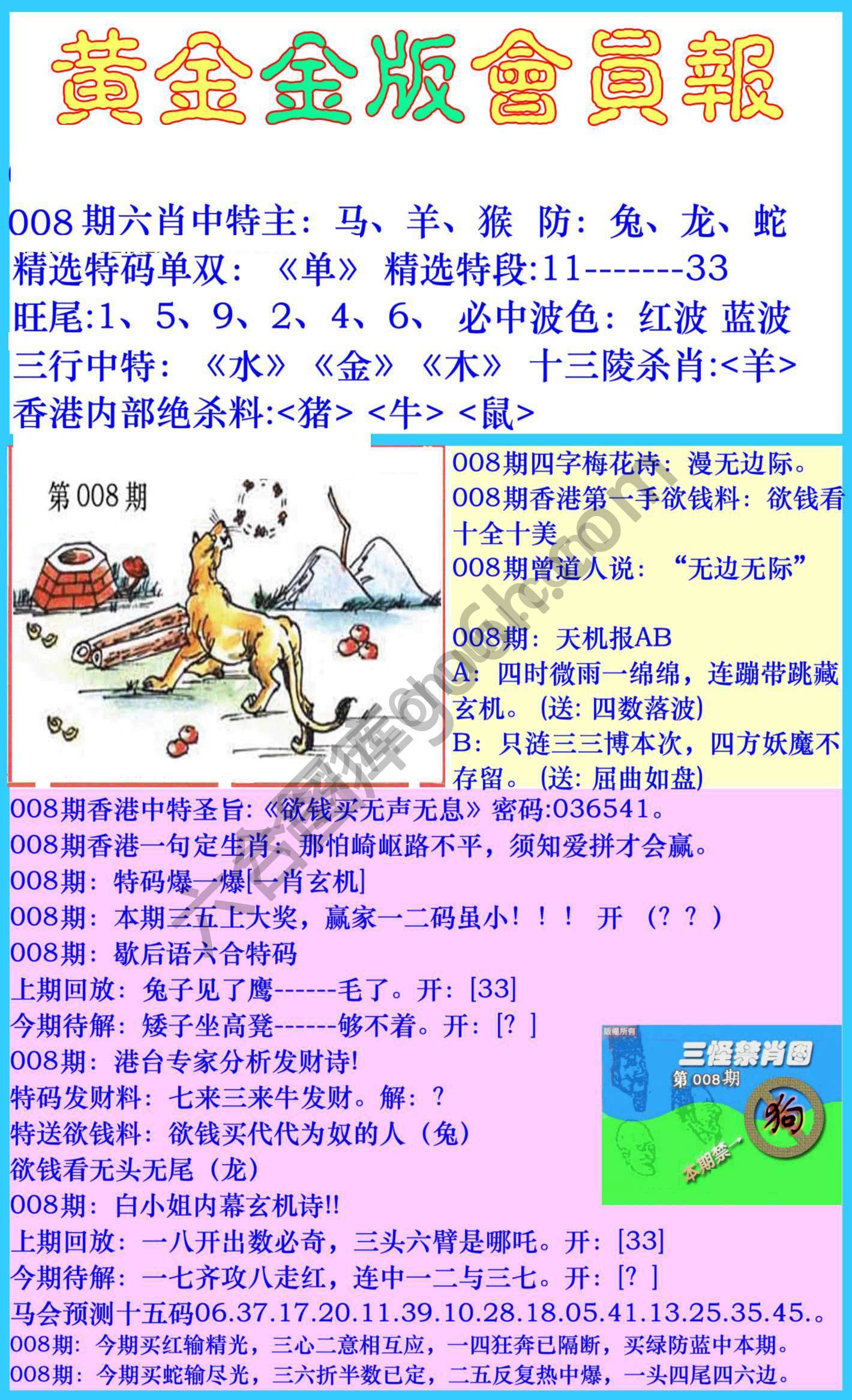 黄金金版会员报