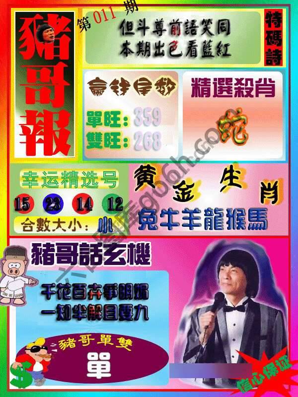 猪哥报