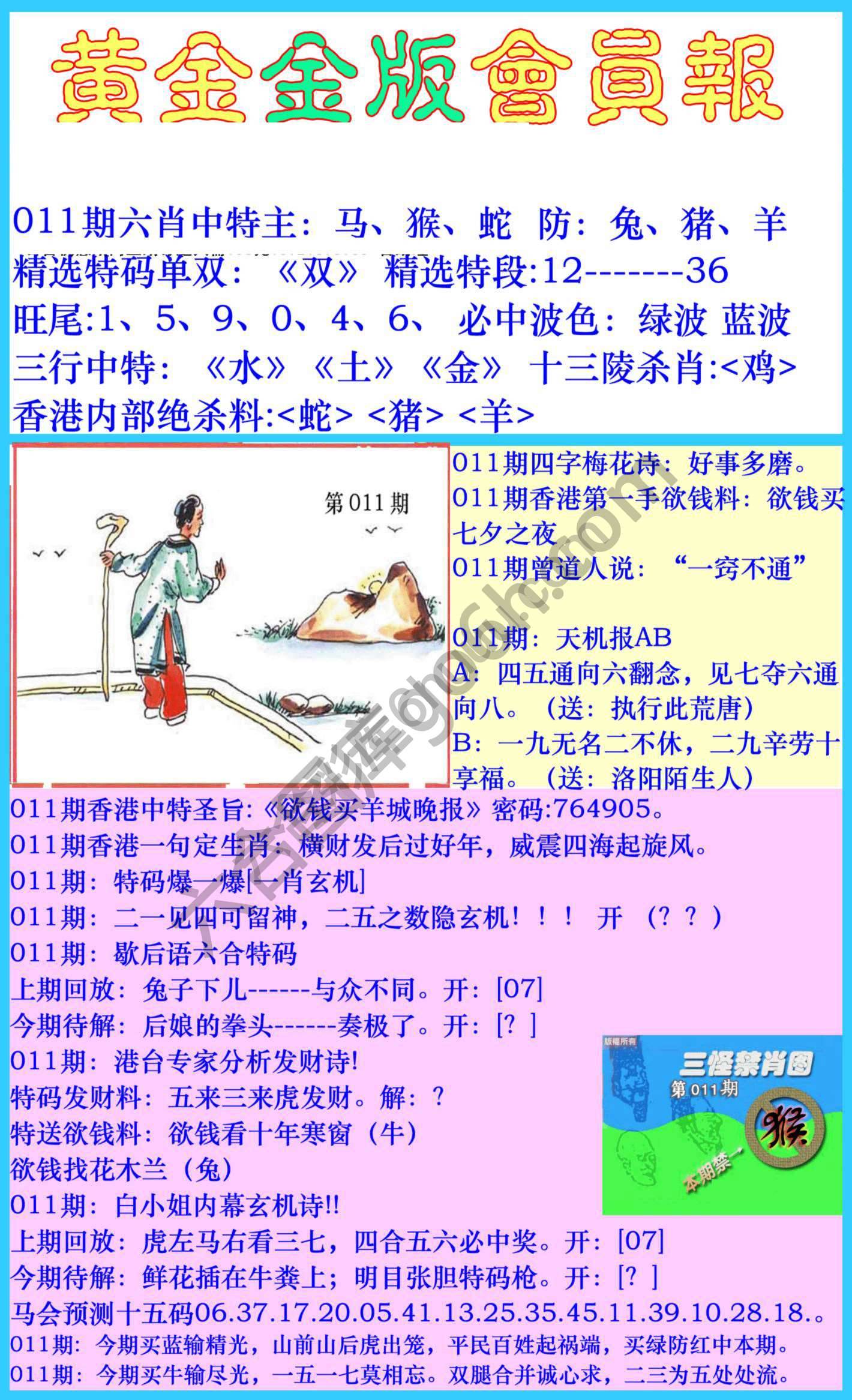 黄金金版会员报