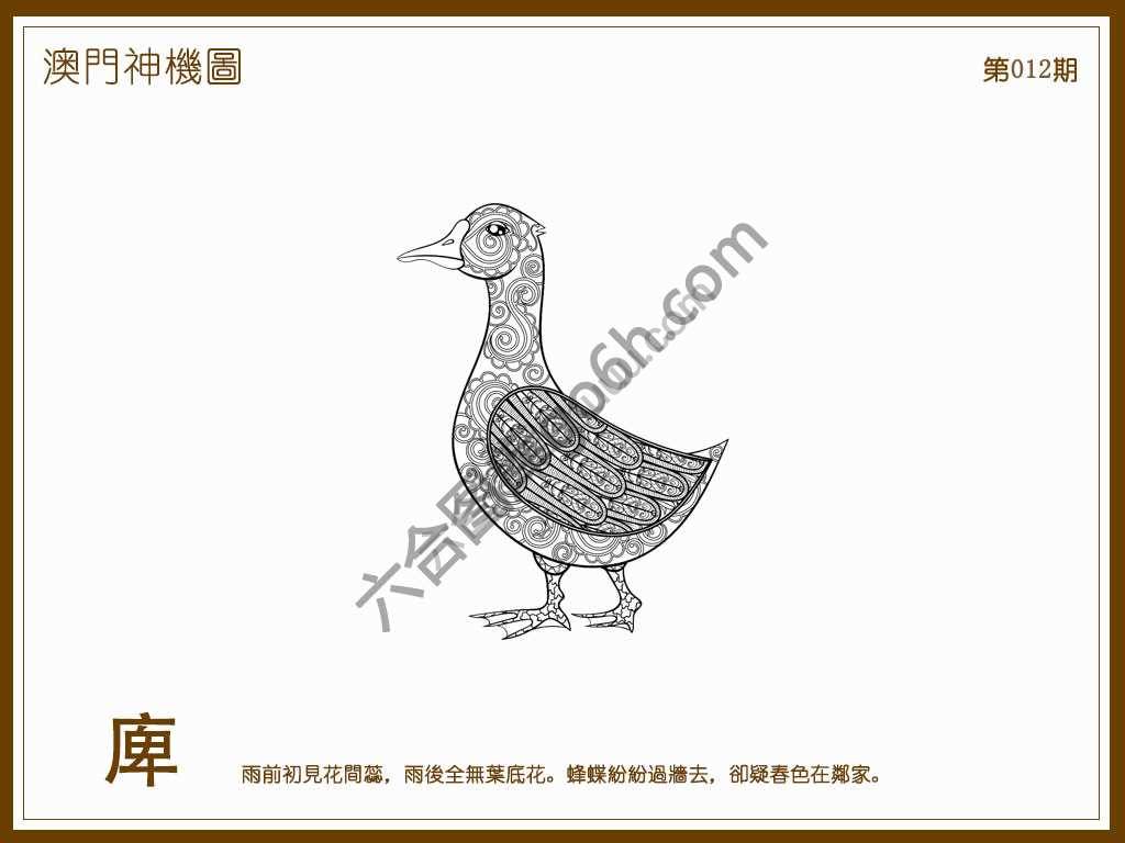澳门神机图