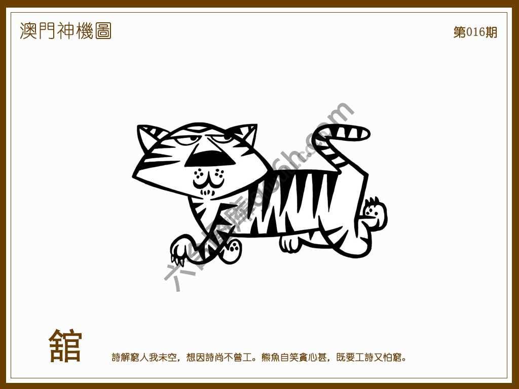 澳门神机图