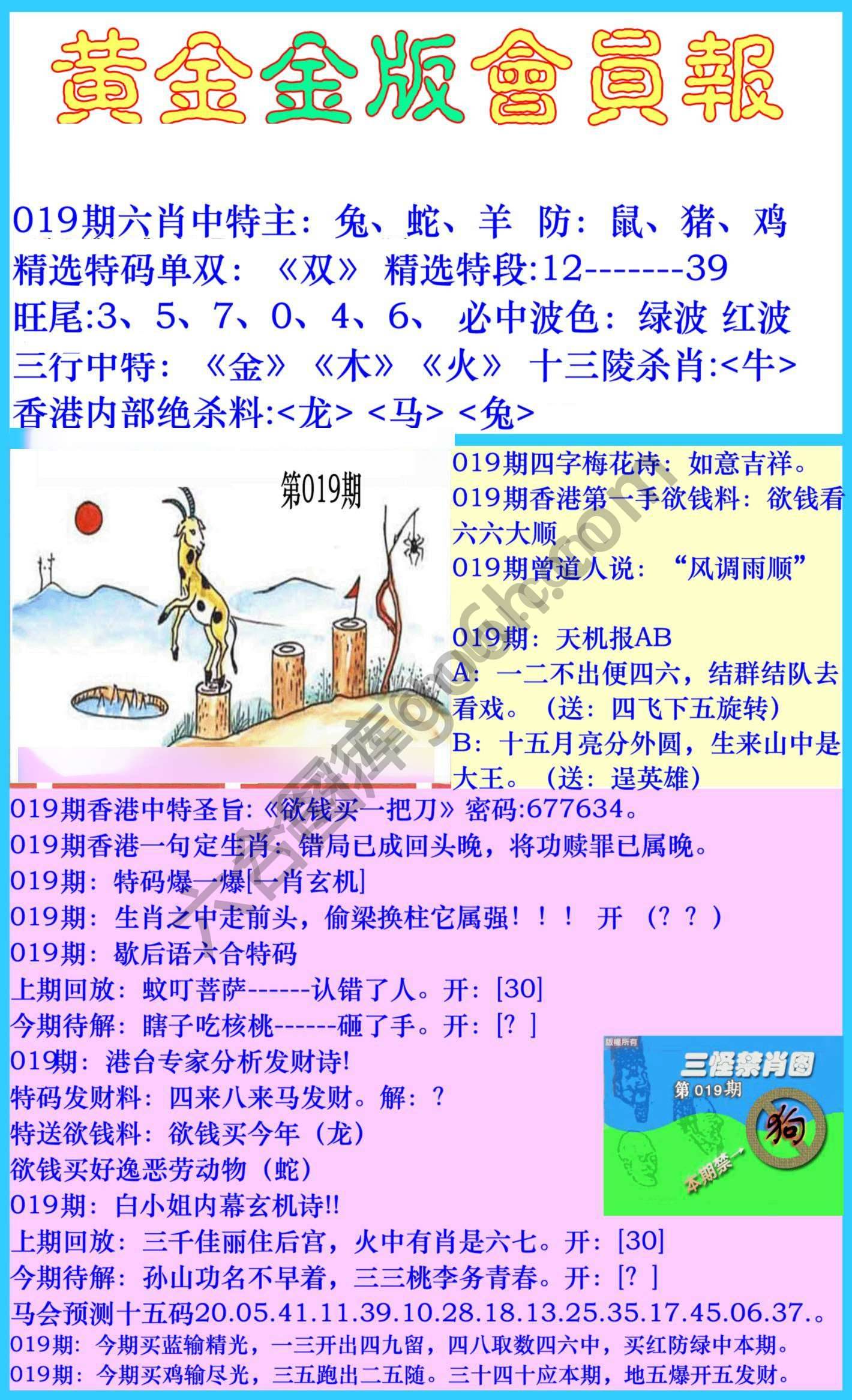 黄金金版会员报