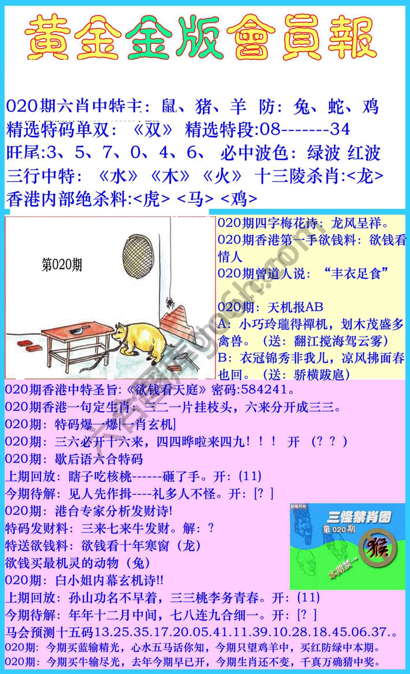黄金金版会员报