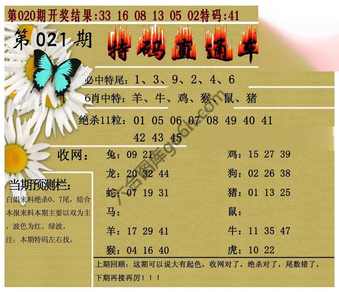 特码直通车