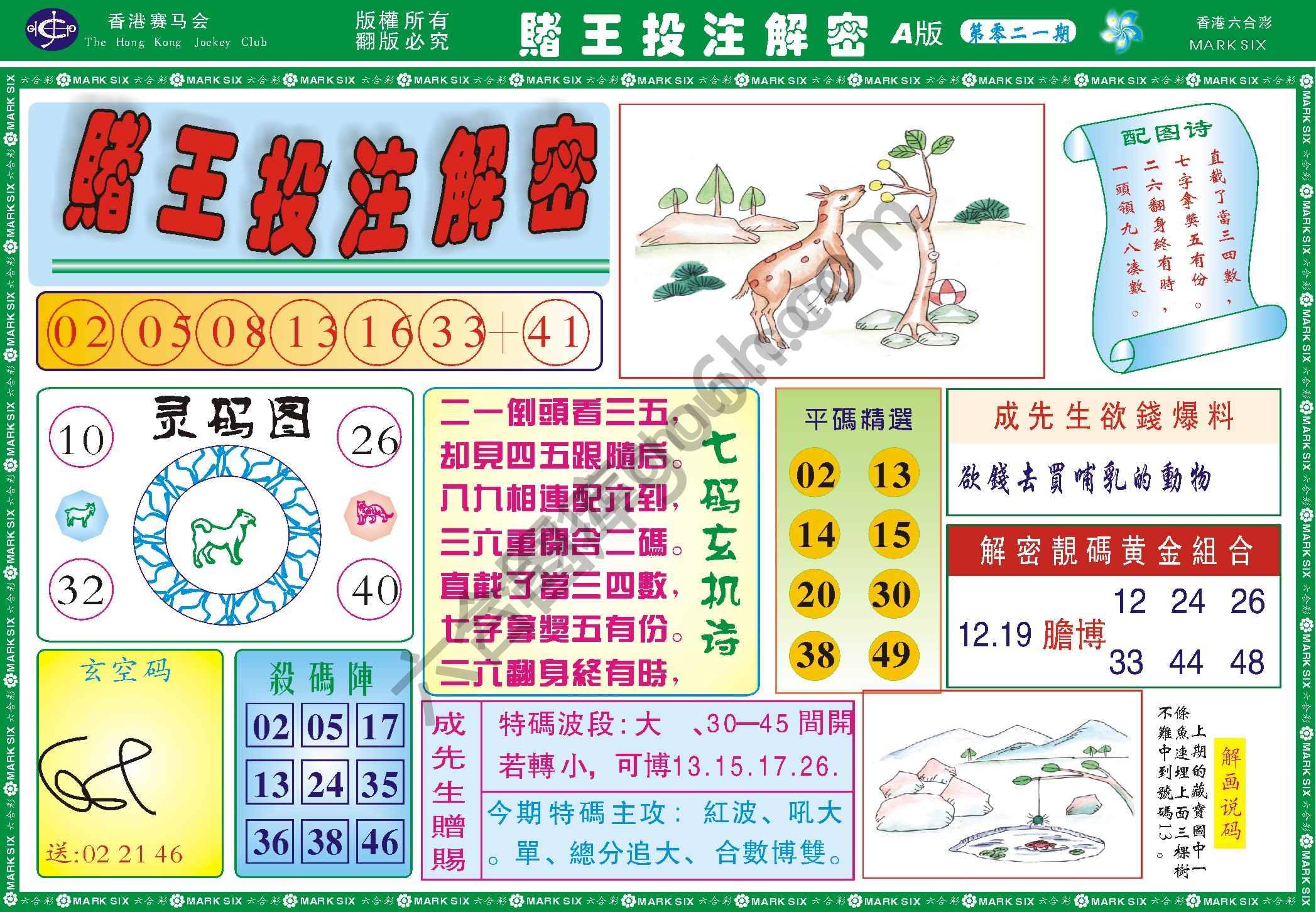 赌王投注解密