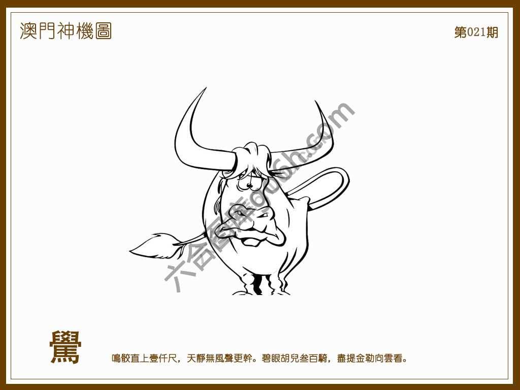 澳门神机图