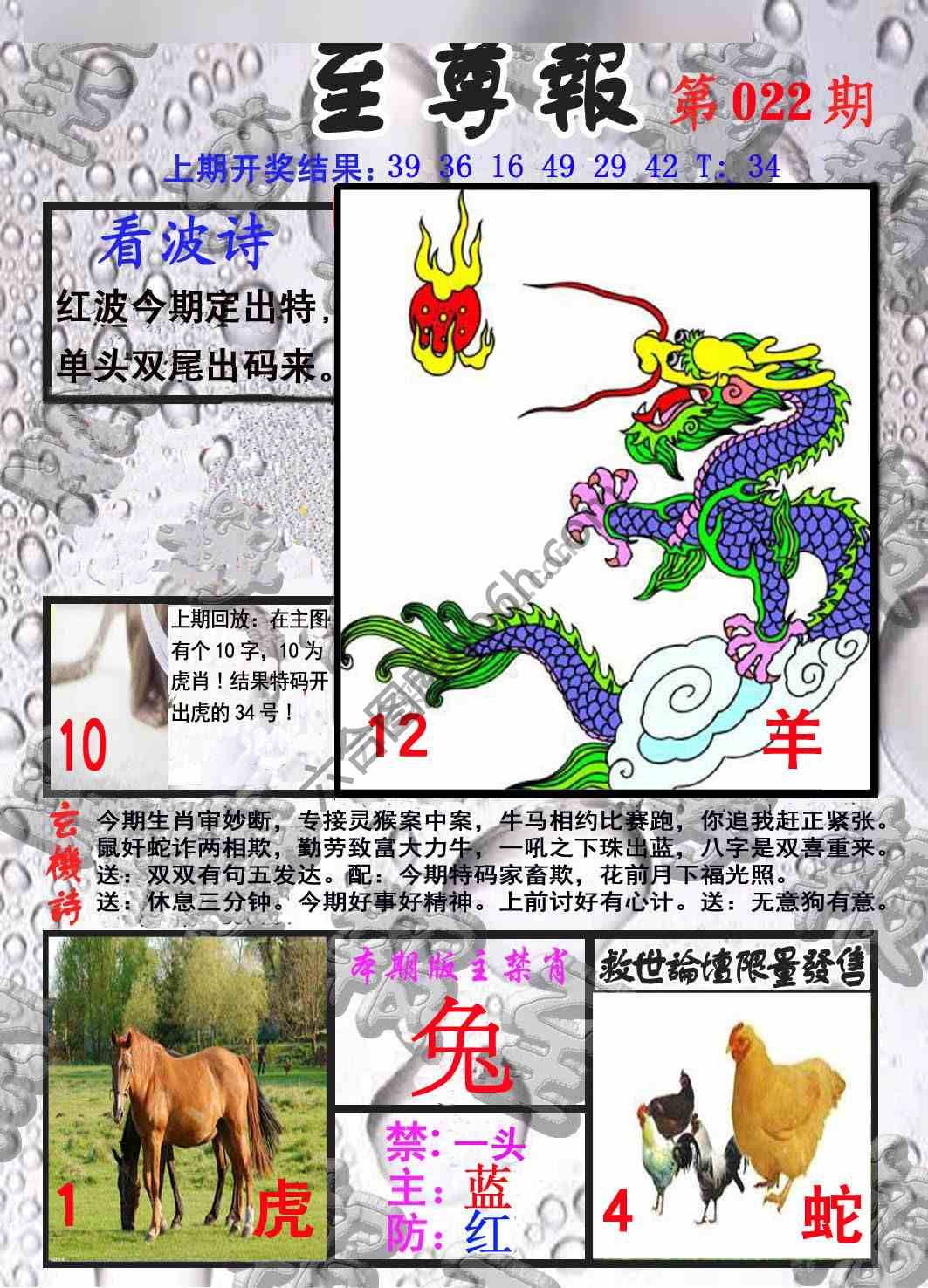至尊报