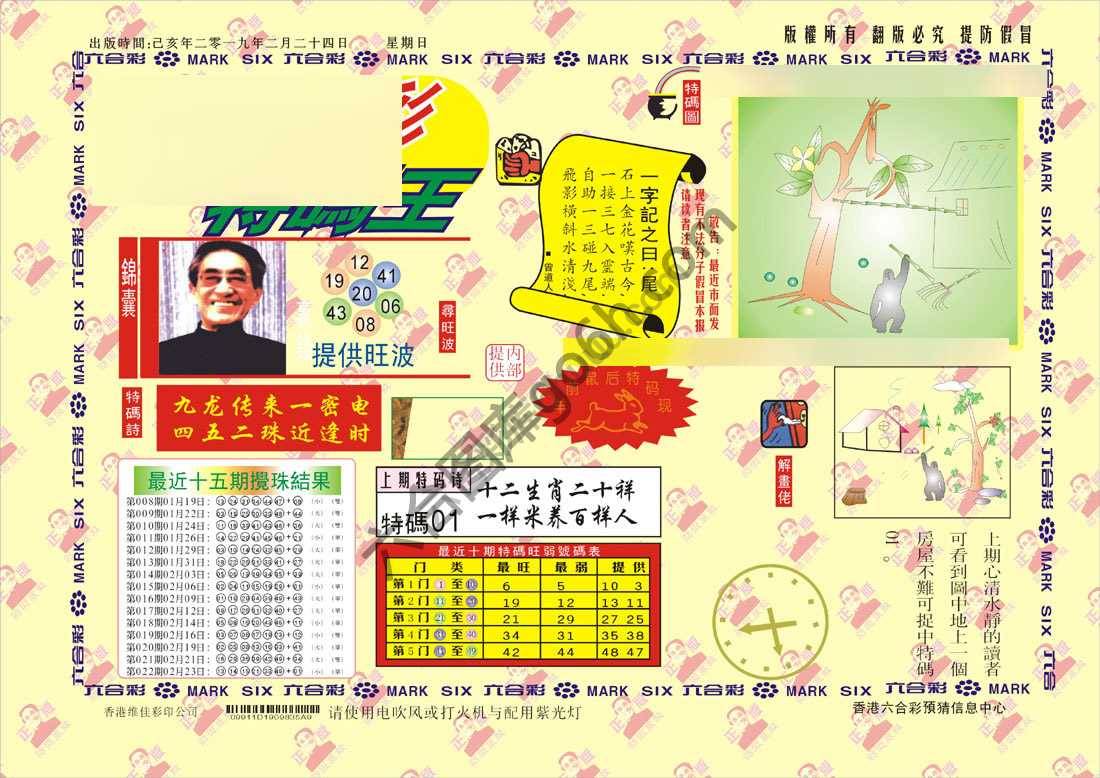 特码王