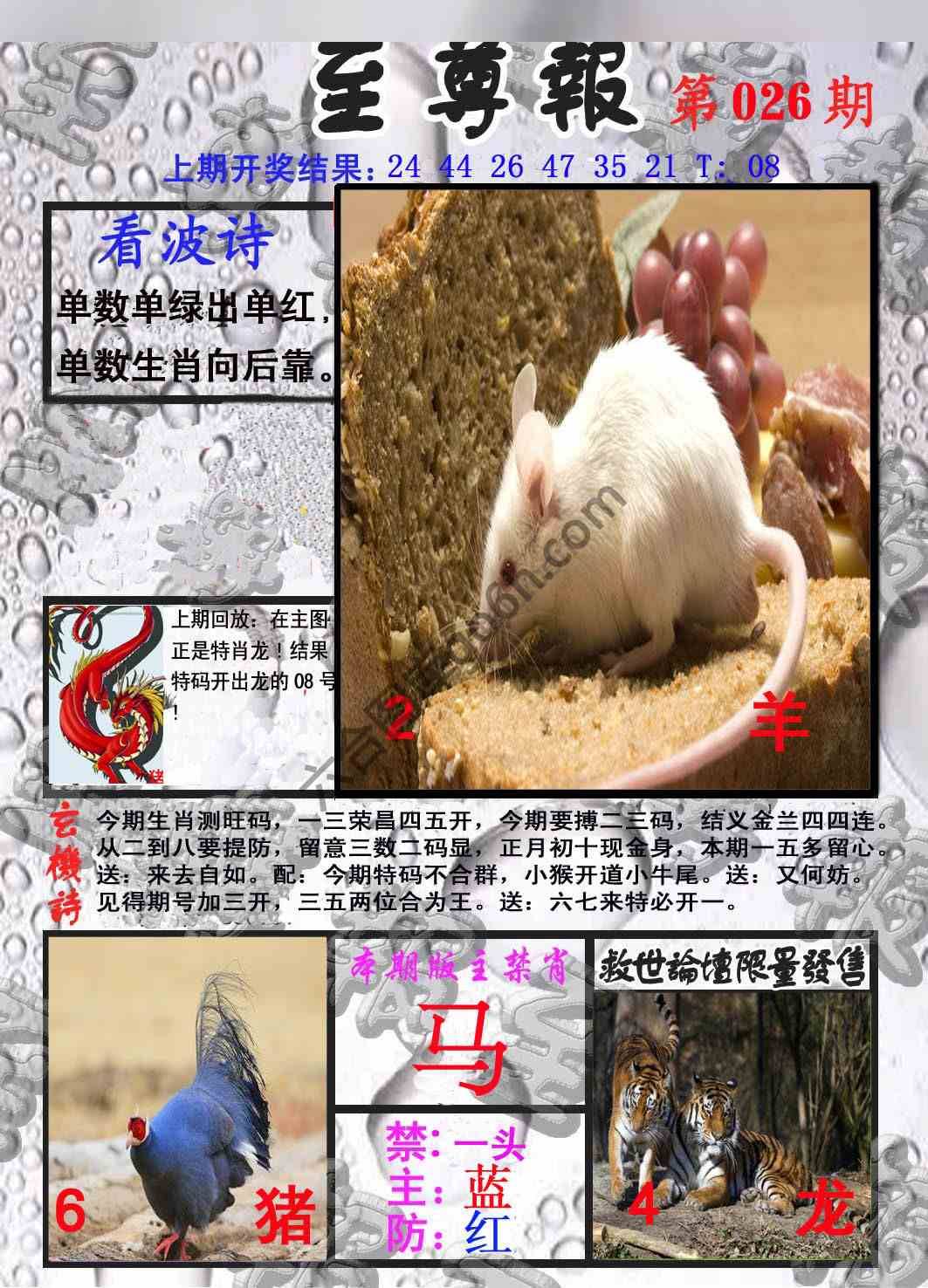 至尊报