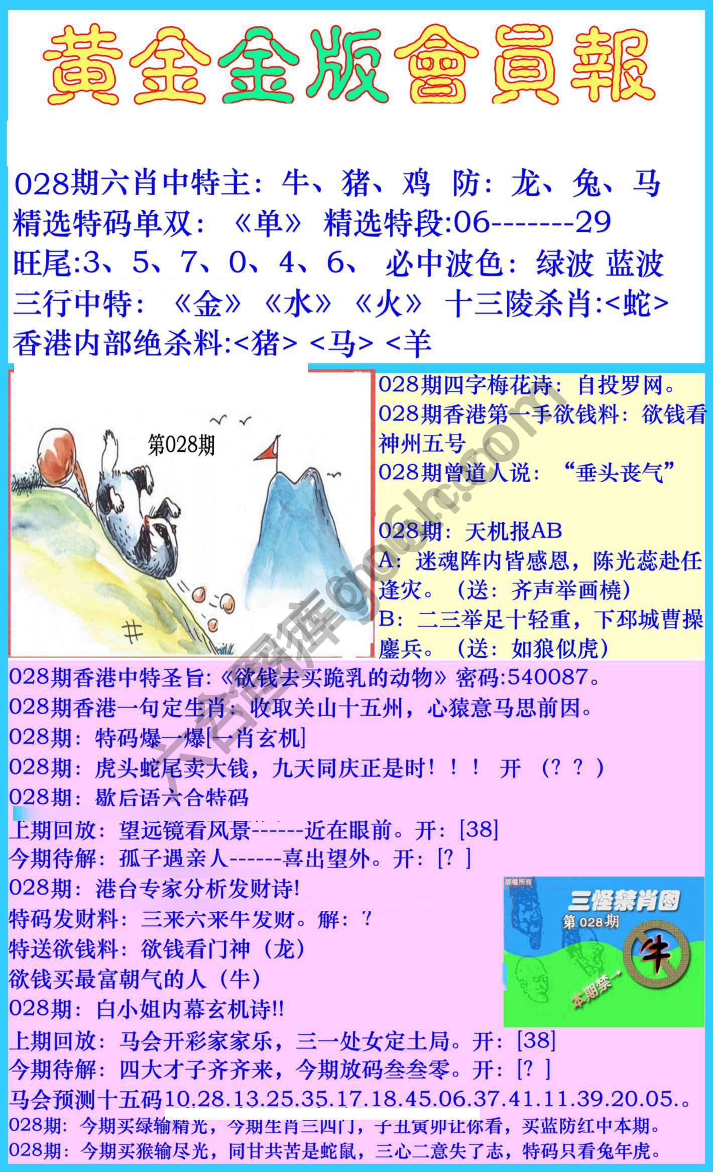 黄金金版会员报