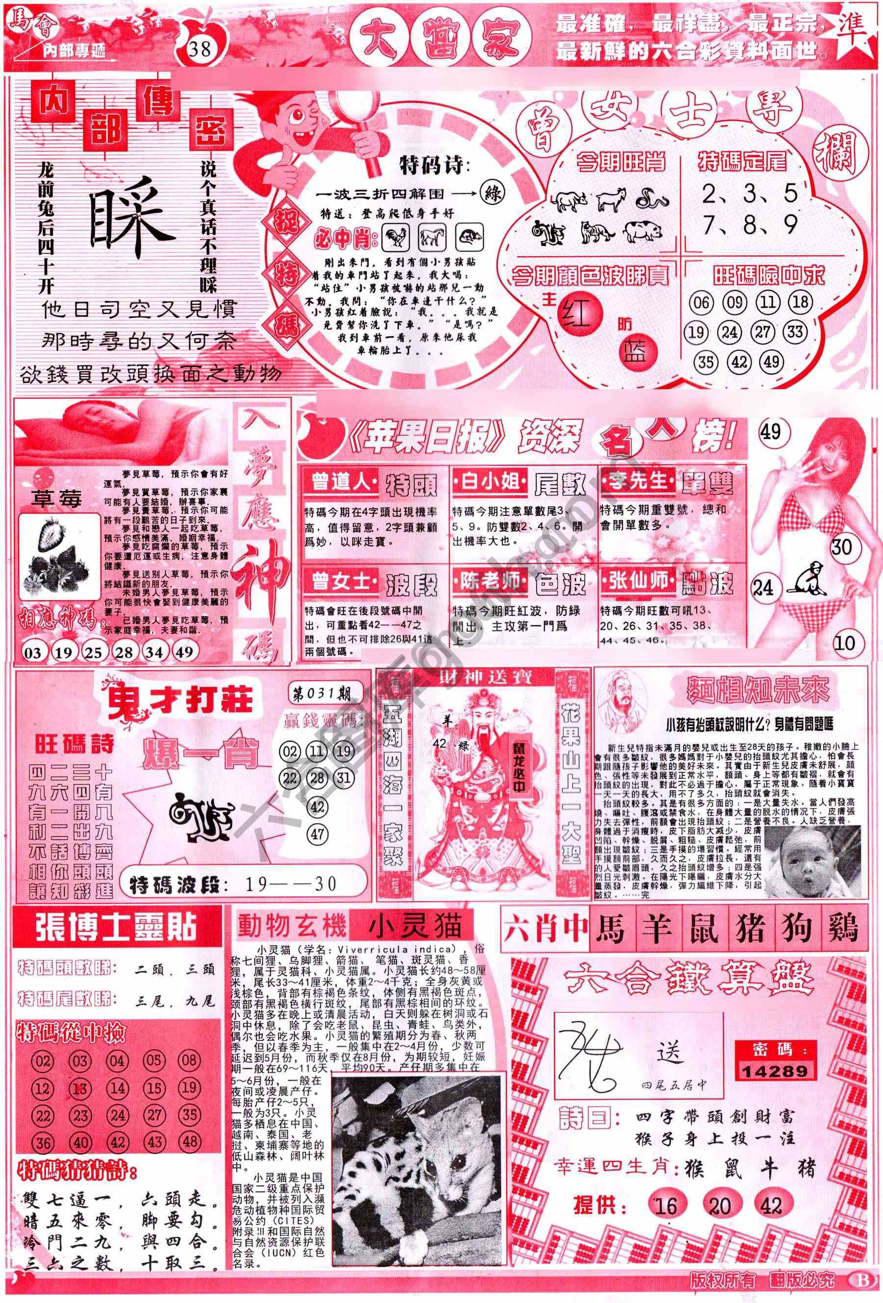 大当家