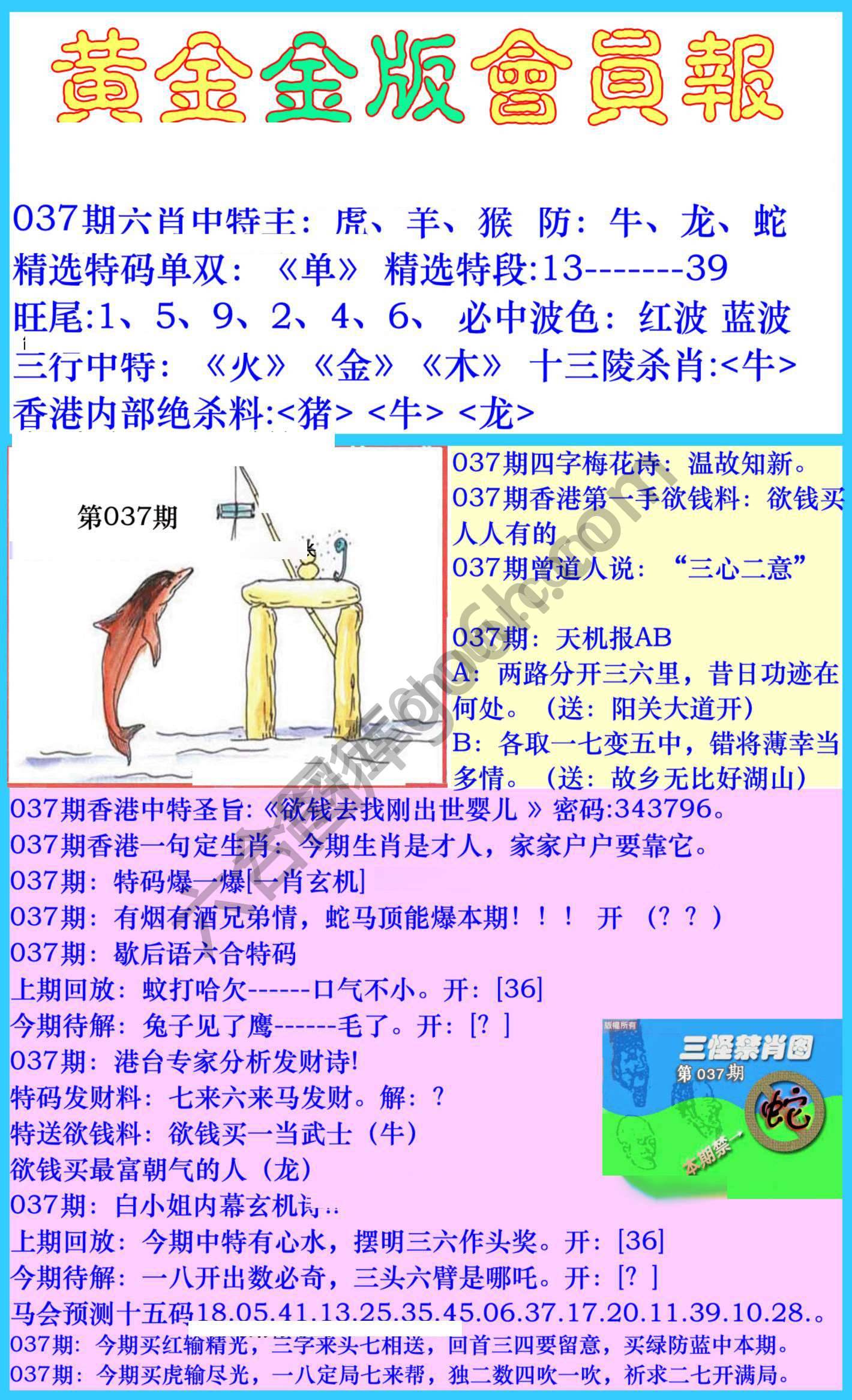 黄金金版会员报