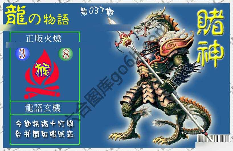 赌神龙报
