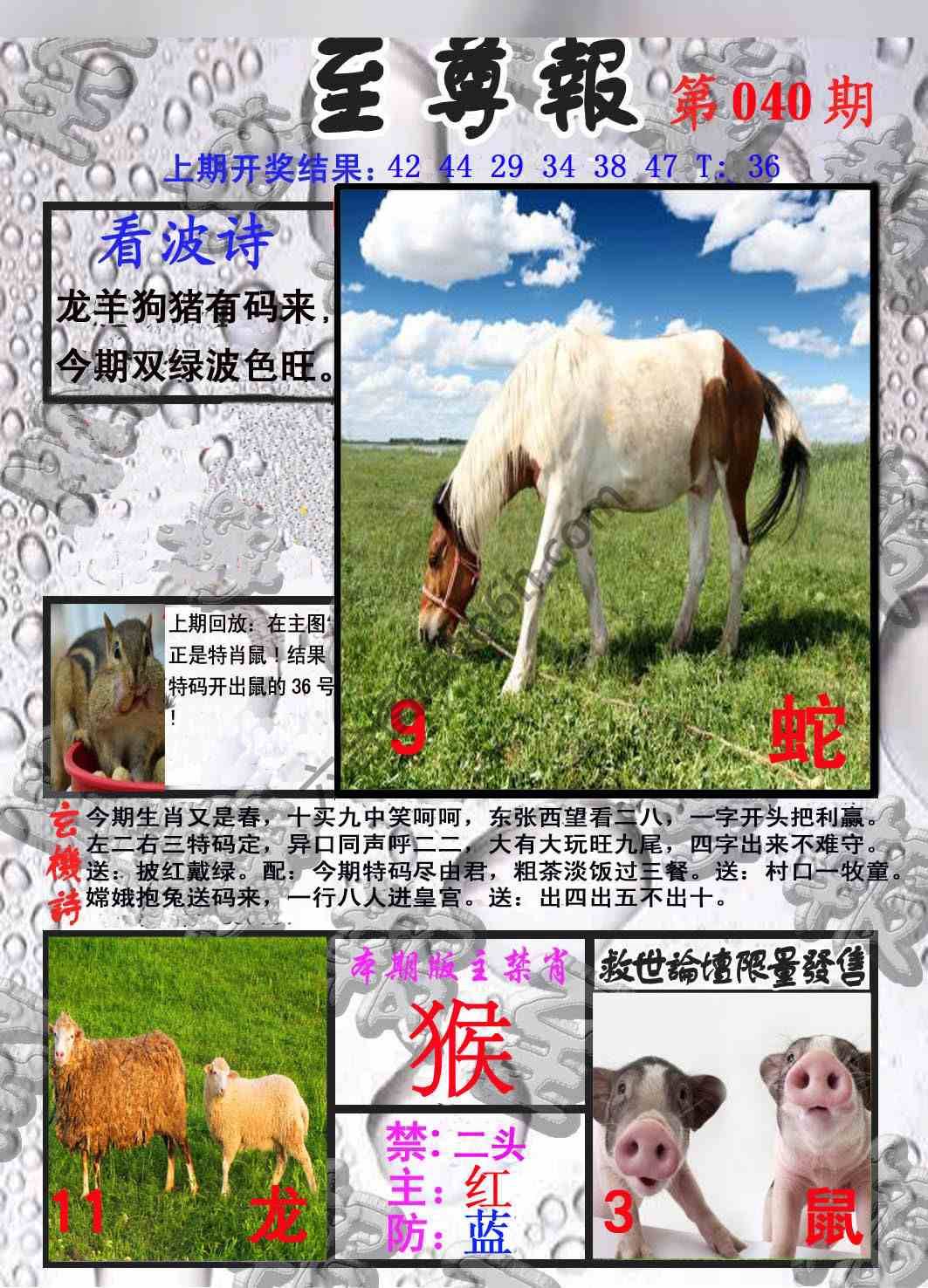 至尊报