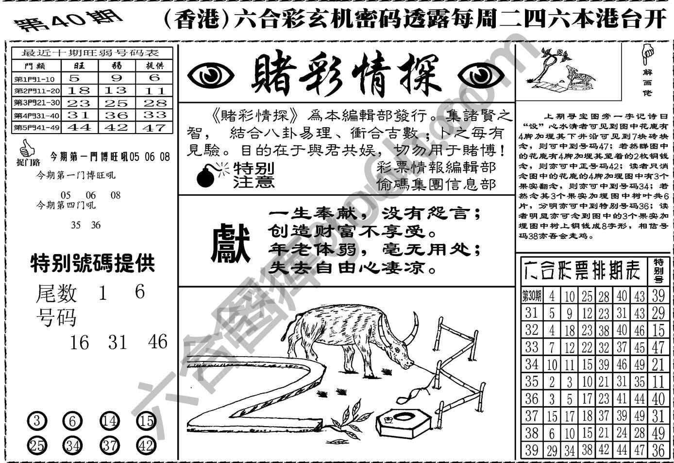 赌彩情探